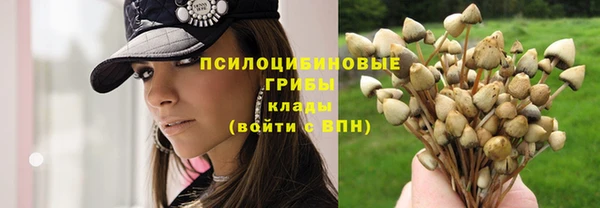 соль курить ск Алзамай