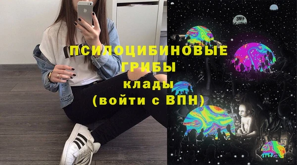 Альфа ПВП Алексин